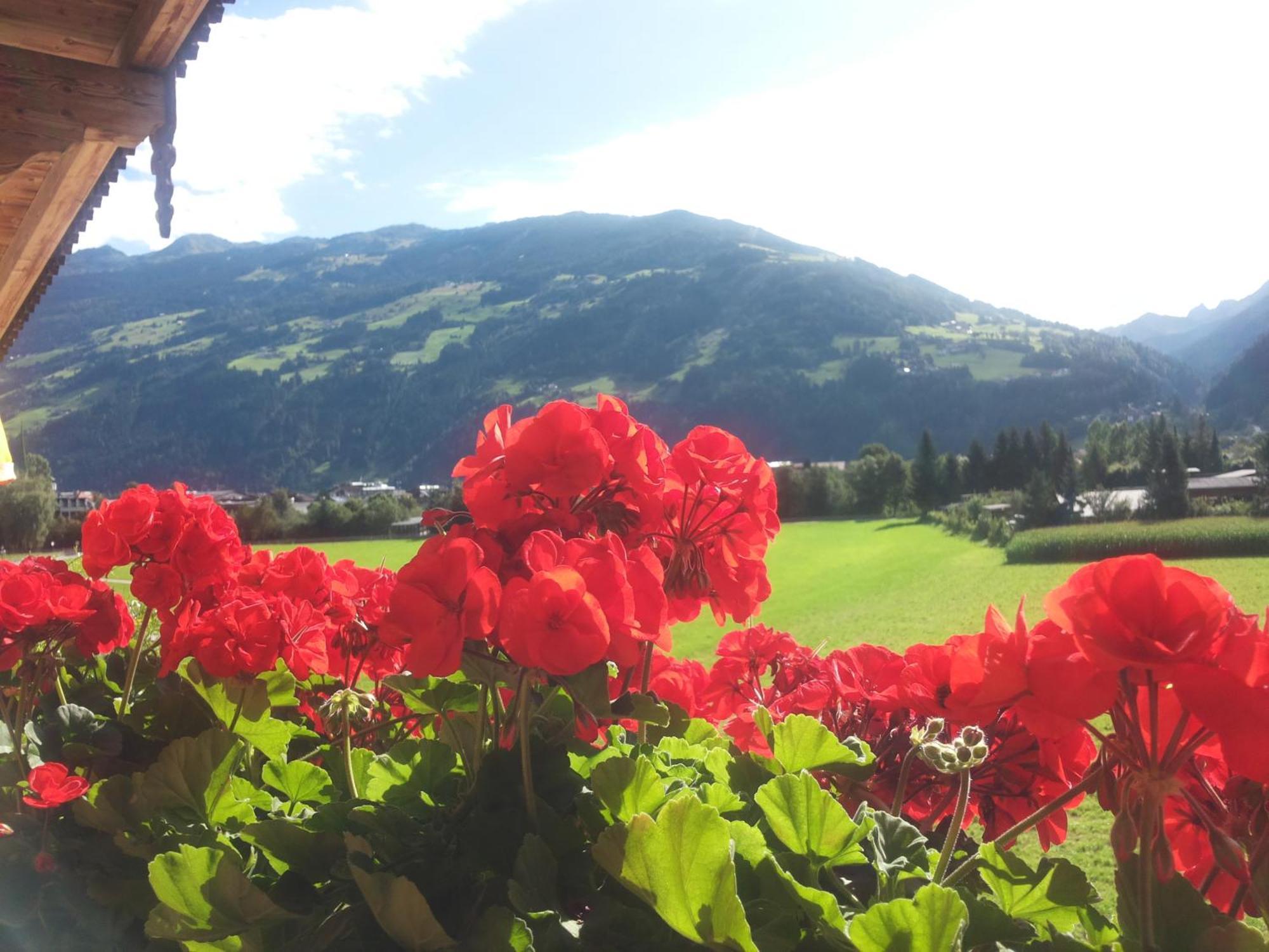 Tirol Appartement Haus Zillertal Zell am Ziller Quarto foto